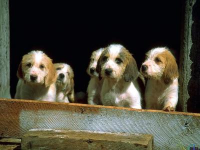 裘岳峰GIRE1VEQ相關(guān)圖片 裘岳峰GIRE1VEQ相關(guān)圖片