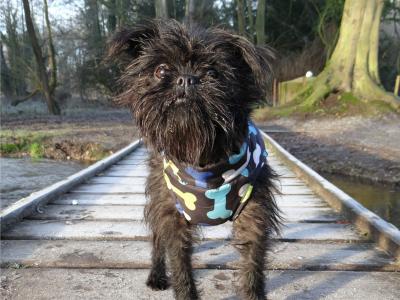 毛祺旻TG1FGK89相關圖片