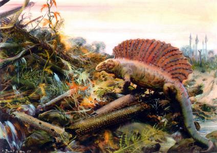 魯喜全ANUVU72K相關(guān)圖片