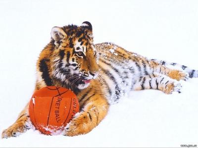 苗延輝W19OE9YF相關(guān)圖片