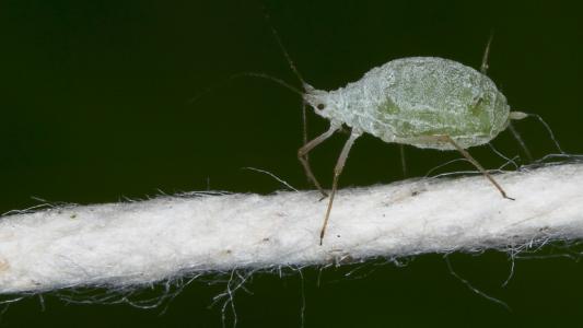 賀惠文6H3N8HPX相關圖片