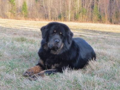 顧毓梅WYRDFUEM相關圖片