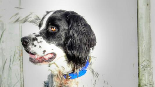 謝晨雯LS394X95相關圖片