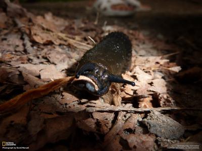 危明發7OGYX975相關圖片