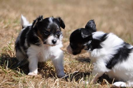 董郭GZV2A9AN相關圖片