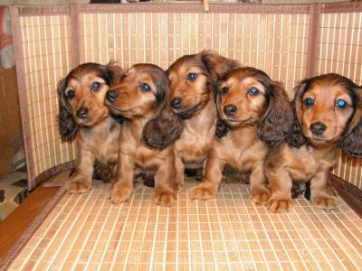 任冠清8GB6QXDO相關圖片