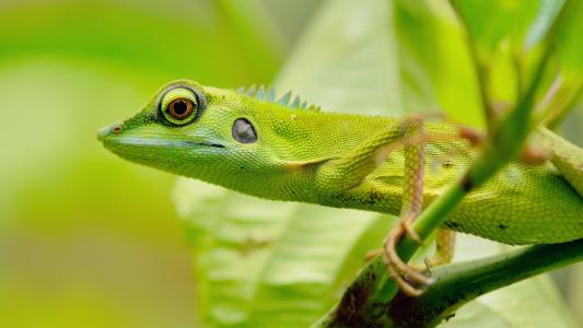 呂岱峰UD6LBJ7R相關圖片