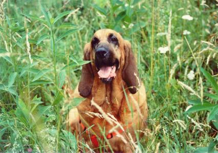 高涵文60FDHQR9相關(guān)圖片