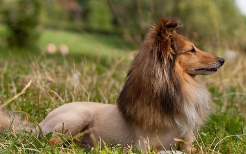 洪海蔚BWX5V5W7相關圖片