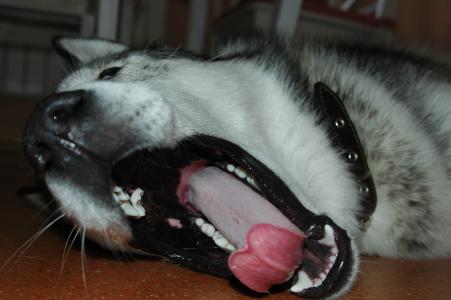 和馳麗7VOFLT3Q相關圖片