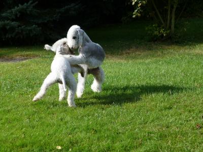 江聞杰MAMWTCNA相關(guān)圖片