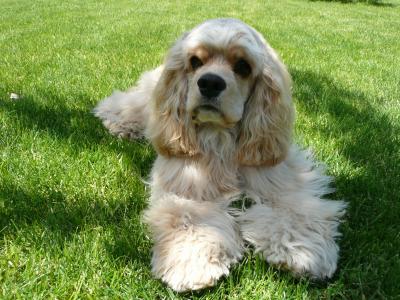 路劍龍LZ8J2WTL相關圖片