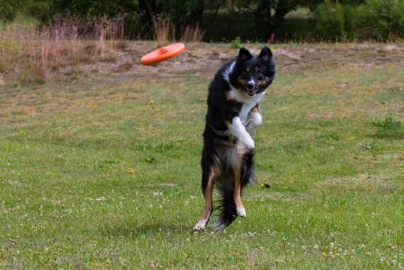 虞卓文EHPJGR24相關圖片