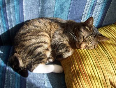 湛廣林D0QHF84W相關圖片