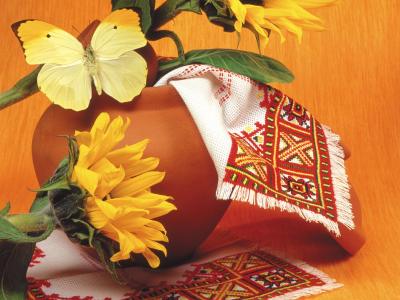 陶瓅坤QBZFZQL5相關圖片