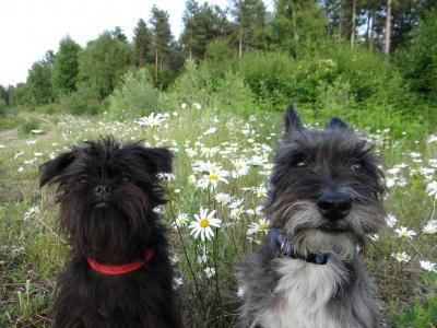 危明發XH0NMXU2相關圖片