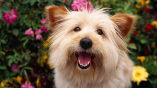 安大輝RLAEM9DC相關圖片