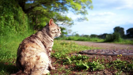 梅園槑UKENB440相關圖片