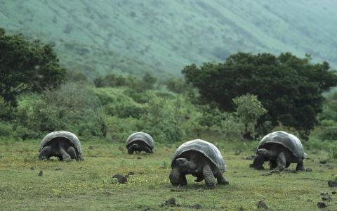 花飛嬋SFGUS3SM相關圖片