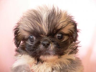 蔣映泉1Y4EUQIJ相關圖片