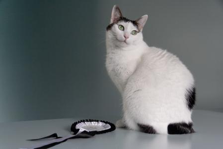 苗廣志OY7Y9T4M相關(guān)圖片