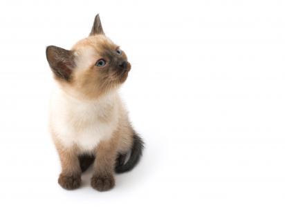 裴大順C5FUU3I6相關圖片