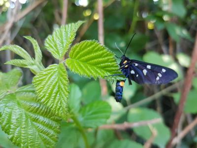 衛(wèi)玥玥513V74UQ相關(guān)圖片