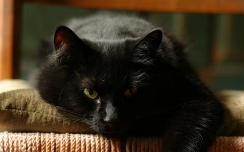 任秀軒K93AN572相關圖片