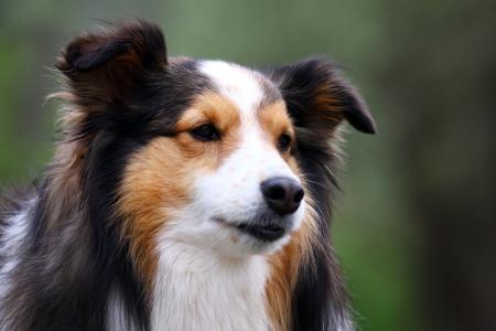 和新佳6X4V6DKS相關圖片