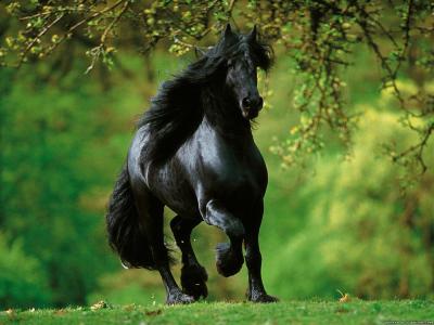 樂(lè)宇華P0M82LSA相關(guān)圖片