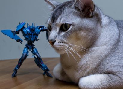 余亞仕J2F9SG23相關圖片