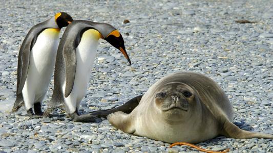 岑利剛39QOYKLB相關圖片