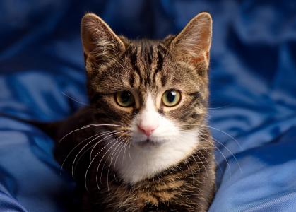 高采婕5EFJIY71相關圖片