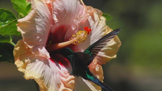 宋立伏U2O5NQ0H相關圖片 宋立伏U2O5NQ0H相關圖片