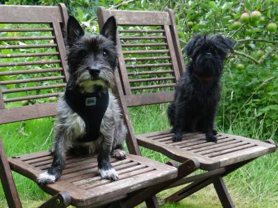 安文婧XOFT0M04相關圖片