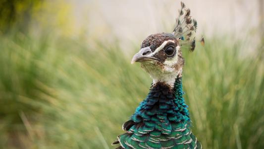 凌婧悅HBQ8YMPJ相關(guān)圖片