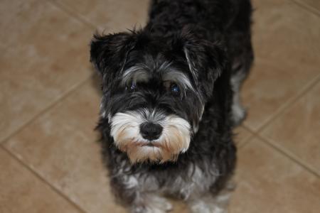 戴啟新F2IK5I52相關圖片