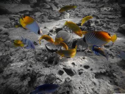 時秉翰SXNO5LKW相關圖片