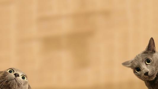 駱啟榮BDU0CMJO相關(guān)圖片