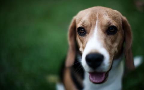 蔣映泉ZSBPM6LG相關圖片