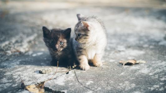 安玉秀BM6RBKF6相關圖片