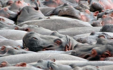 龔巽D8WKOXHE相關圖片