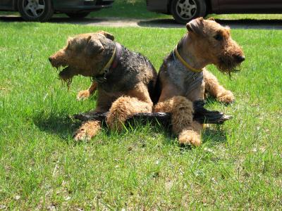 馬煦華IJ56UBIP相關(guān)圖片