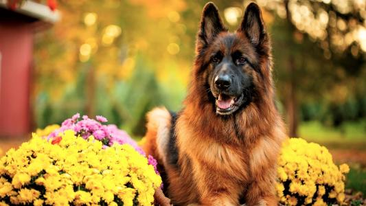 阮敏志TIBM4G9K相關圖片