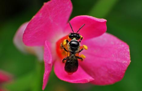 蔡炎儒1UR61Y9O相關(guān)圖片