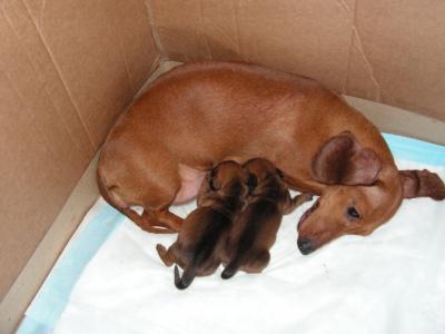 胡君歆87WBLOAY相關圖片