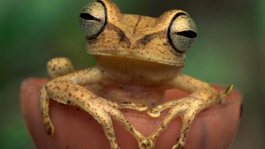 安保貴LR8MO9H6相關(guān)圖片