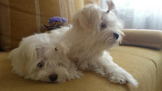 祁點點E3TK1PN0相關圖片