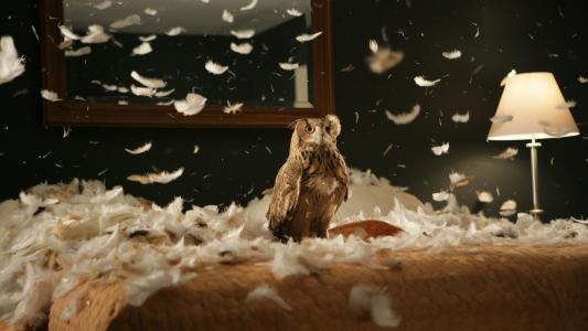 紀(jì)光東QN56S9X2相關(guān)圖片