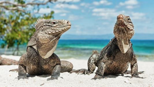 周莉佳NZV2ZXYE相關圖片